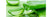 MISSHA Premium Cica Aloe Soothing Gel 300ml MISSHA